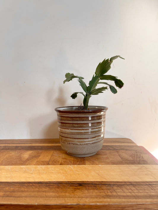 Vintage Striped Plant Pot | Handmade a indoor Planter | Plant Holder | Houseplant Pot | Vintage Gift | Planter Grey | Mid Century Plant Pot